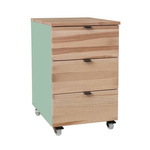 LUKA Storage Cabinet with Wheels W41xD50cm Ash Sage Green